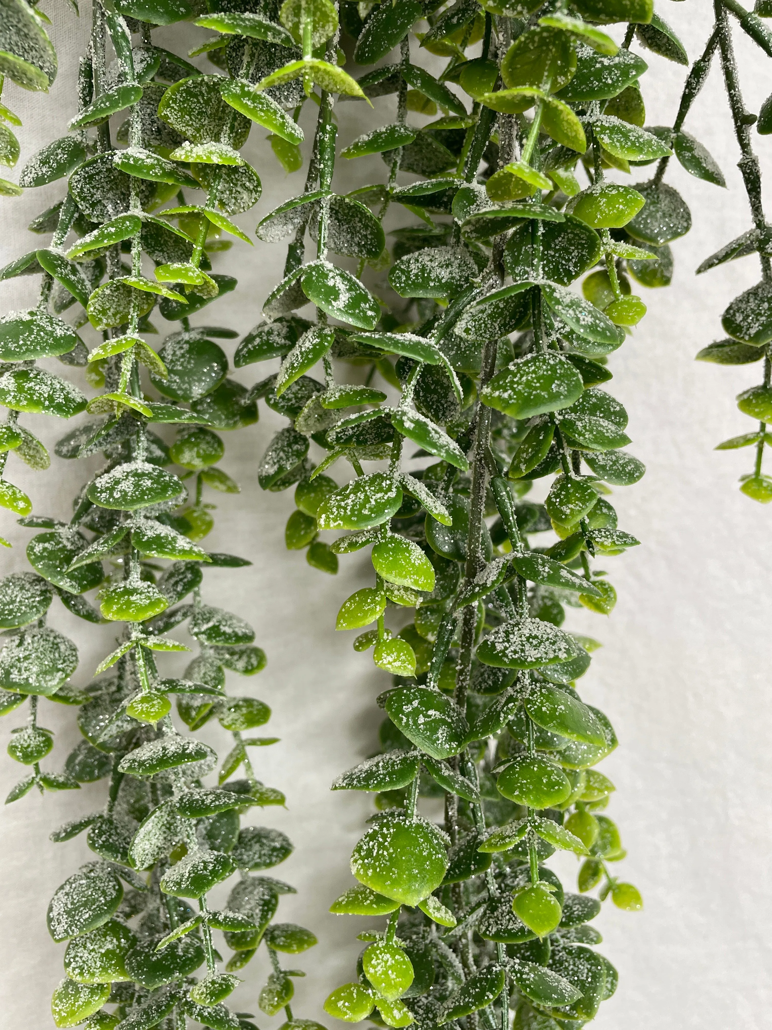 31" Frost Eucalyptus Vine Spray
