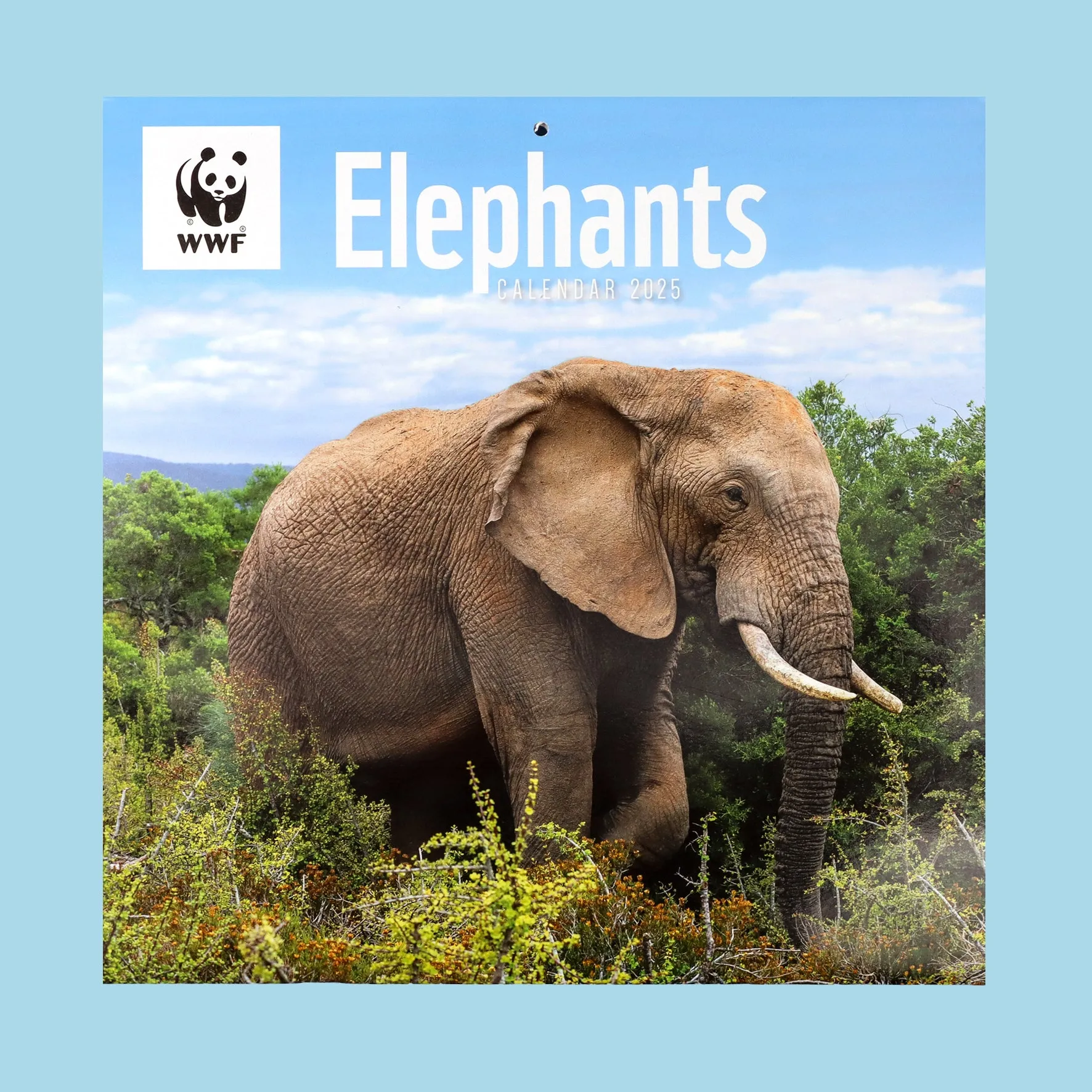 Elephants Wall Calendar 2025